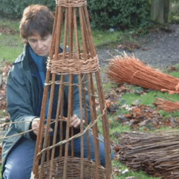 Natural Willow Plant Supports with Willowpool