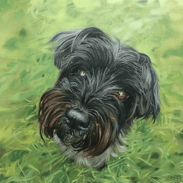 Paint Your Dog with Catherine Macdiarmid
