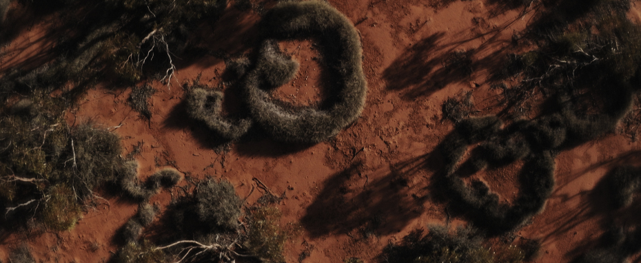 Our Planet, The People, My Blood